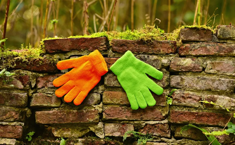 Ονειροκρίτης γάντια