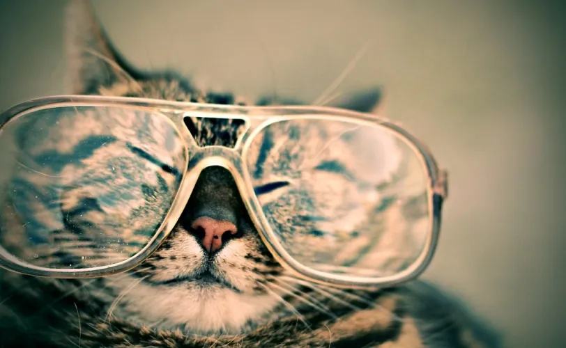 Ονειροκρίτης γυαλιά