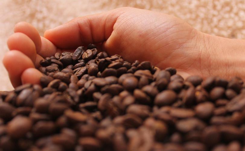 Ονειροκρίτης καφές