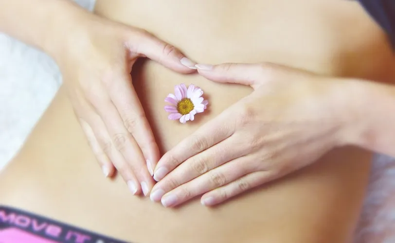 Ονειροκρίτης κοιλιά