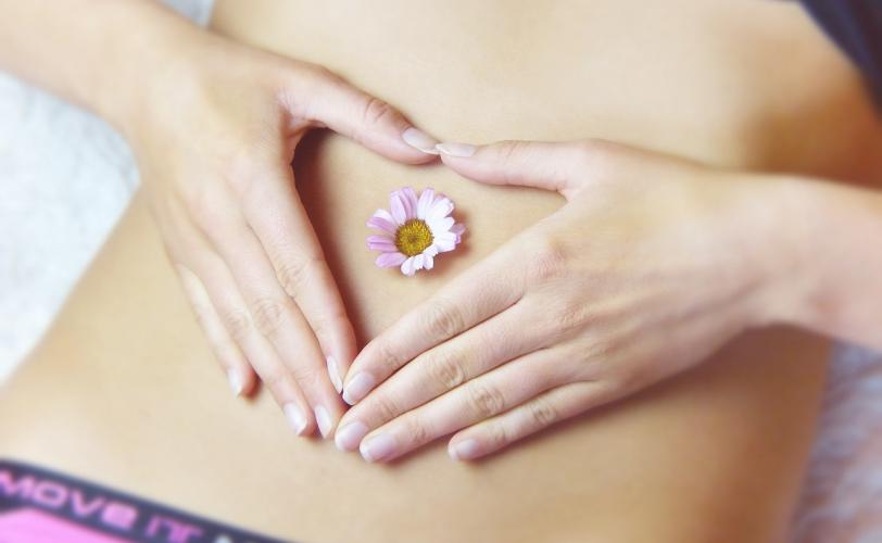 Ονειροκρίτης κοιλιά