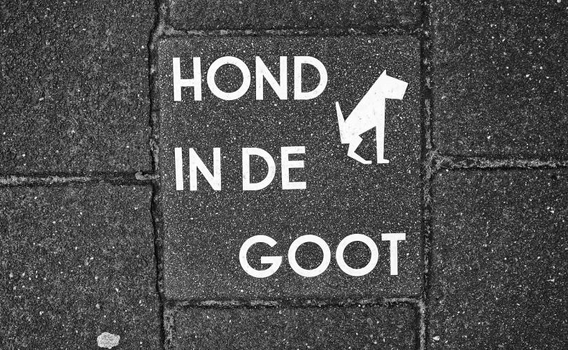 Ονειροκρίτης κόπρανα (ακαθαρσίες - σκατά)