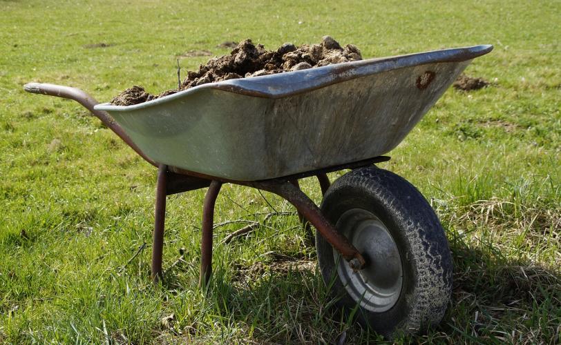 Ονειροκρίτης κοπριά