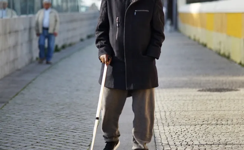 Ονειροκρίτης κουτσός