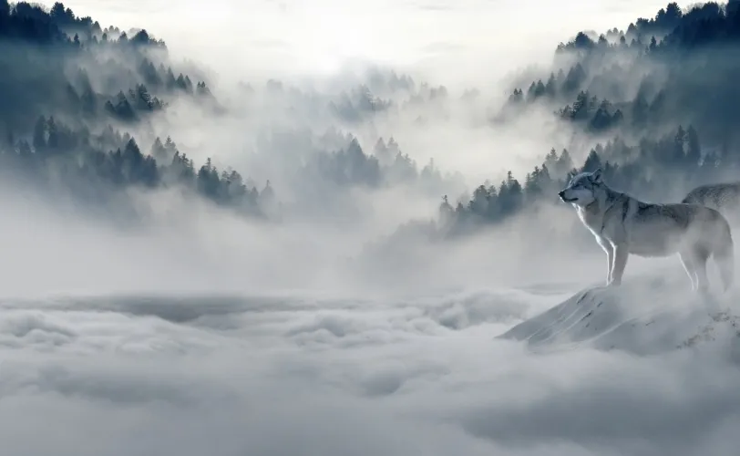 Ονειροκρίτης κρύο