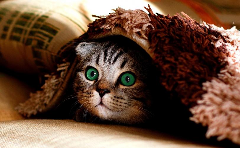 Ονειροκρίτης κρύβω - κρύψιμο