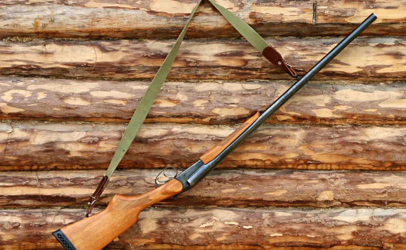 Ονειροκρίτης κυνήγι (κυνηγός)