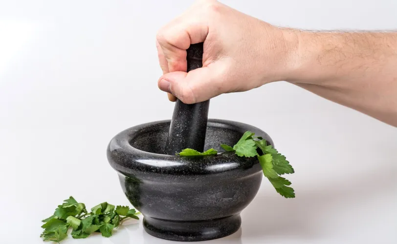 Ονειροκρίτης μαϊντανός