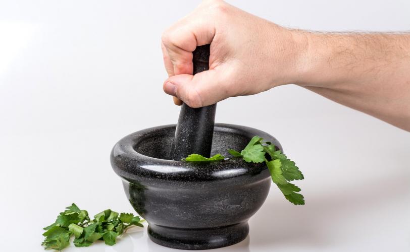 Ονειροκρίτης μαϊντανός