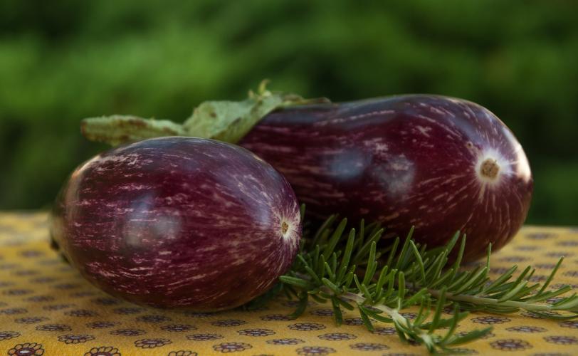 Ονειροκρίτης μελιτζάνα