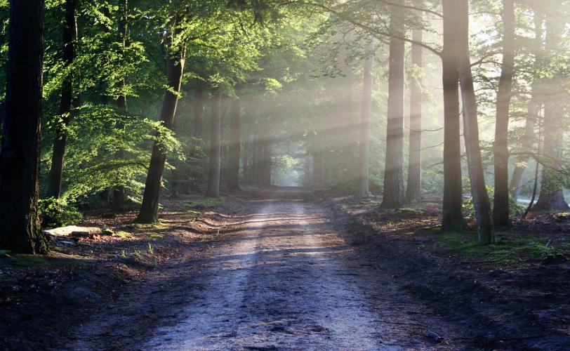 Ονειροκρίτης μονοπάτι