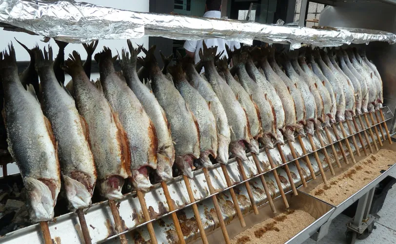 Ονειροκρίτης μπακαλιάρος - γαλέος