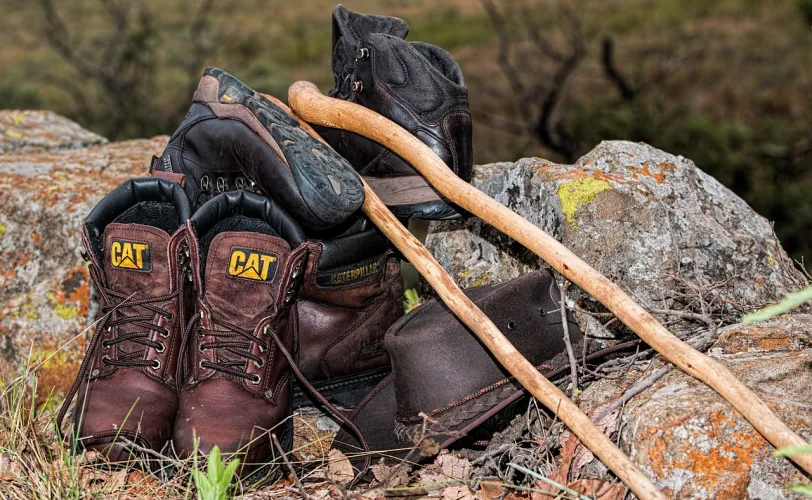 Ονειροκρίτης μπαστούνι