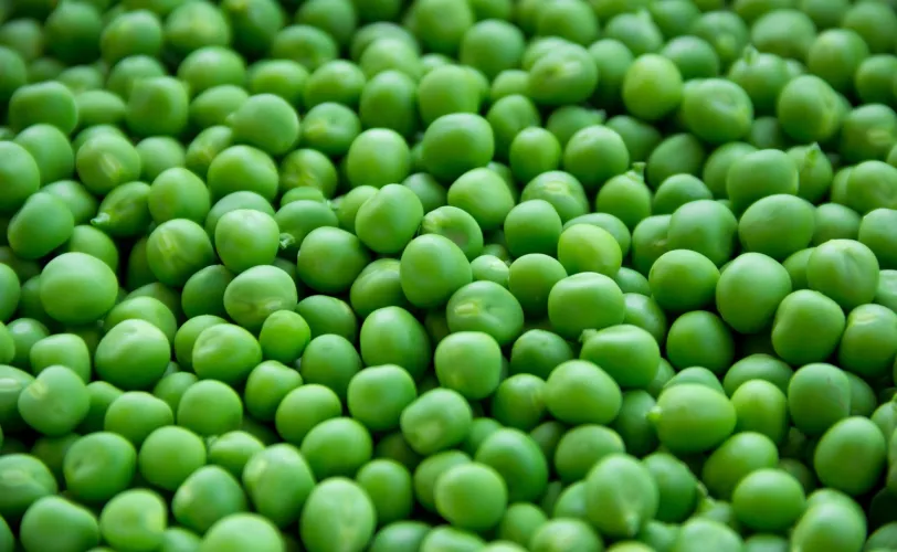 Ονειροκρίτης μπιζέλια - μπιζέλι