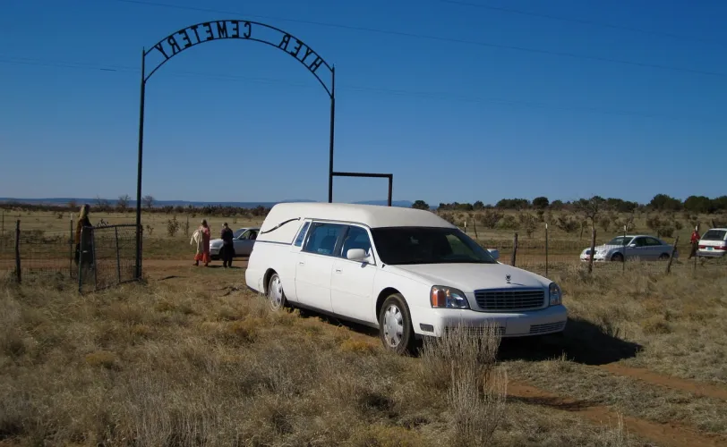 Ονειροκρίτης νεκροφόρα