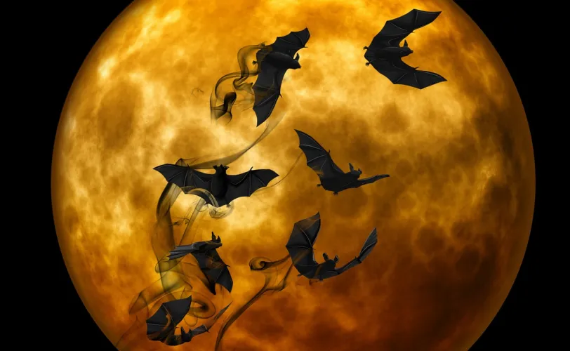 Ονειροκρίτης νυχτερίδα