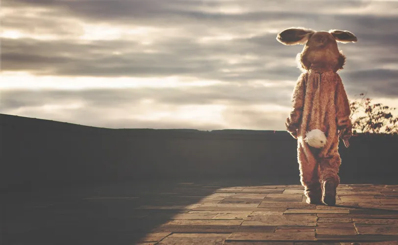 Ονειροκρίτης ουρά