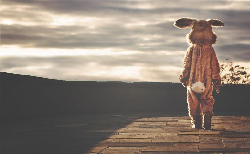 Ονειροκρίτης ουρά