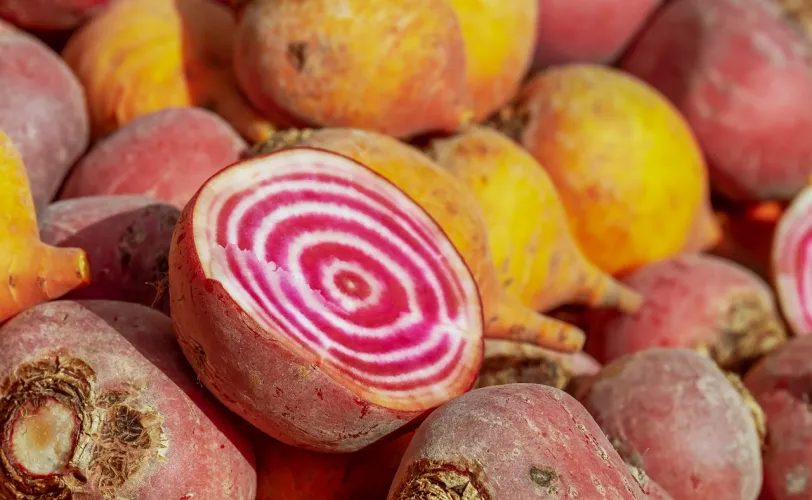 Ονειροκρίτης παντζάρια