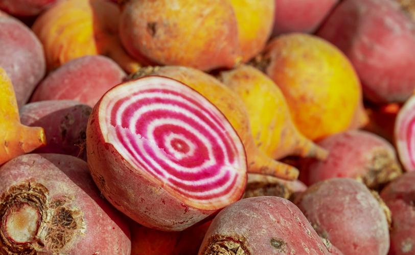 Ονειροκρίτης παντζάρια