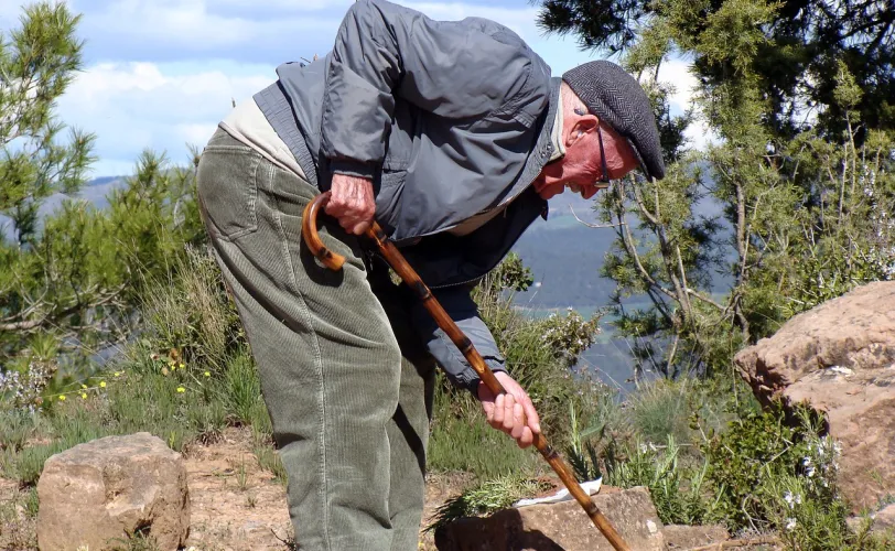 Ονειροκρίτης δεκανίκια - πατερίτσες