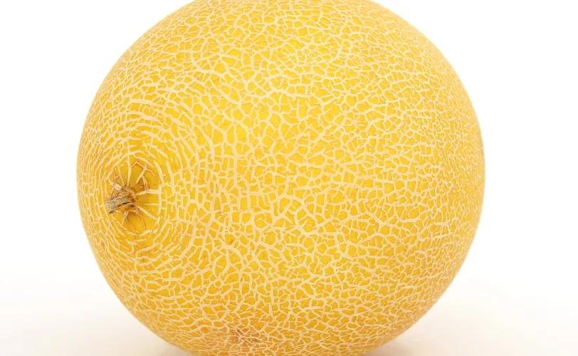 Ονειροκρίτης πεπόνι