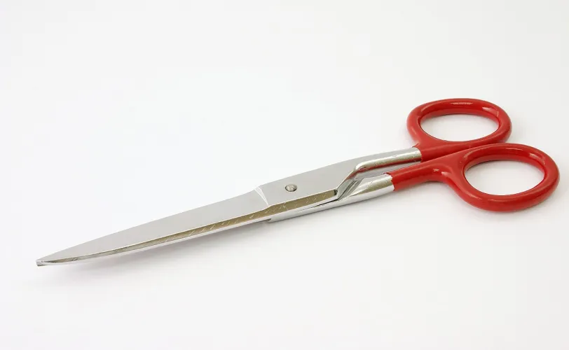 Ονειροκρίτης ψαλίδι