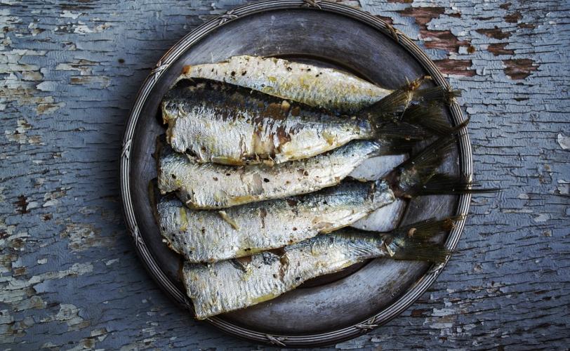 Ονειροκρίτης σαρδέλες