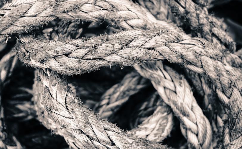 Ονειροκρίτης σκοινιά (σχοινί)