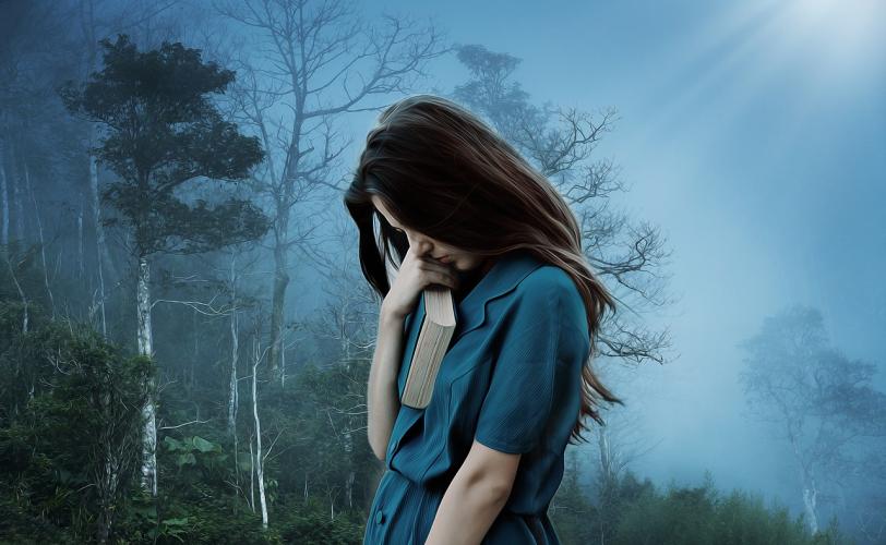 Ονειροκρίτης στεναχώρια