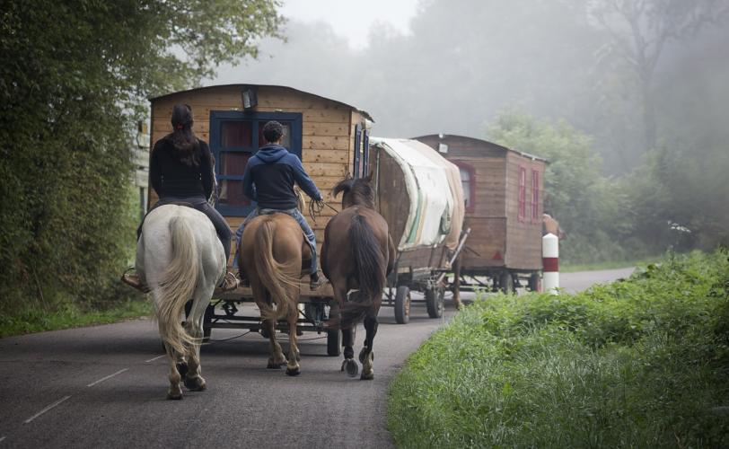 Ονειροκρίτης γύφτος - τσιγγάνος