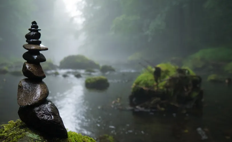 Ονειροκρίτης βάλτος