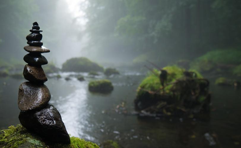 Ονειροκρίτης βάλτος