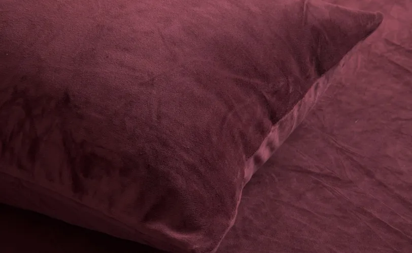 Ονειροκρίτης βελούδο