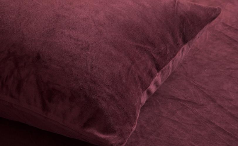 Ονειροκρίτης βελούδο