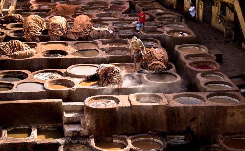 Ονειροκρίτης βυρσοδεψία βυρσοδέψης