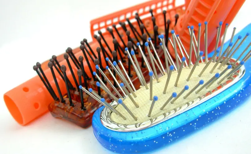 Ονειροκρίτης βούρτσα