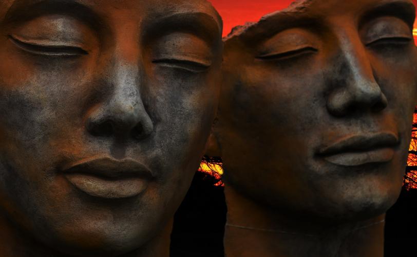 Ονειροκρίτης βουβός